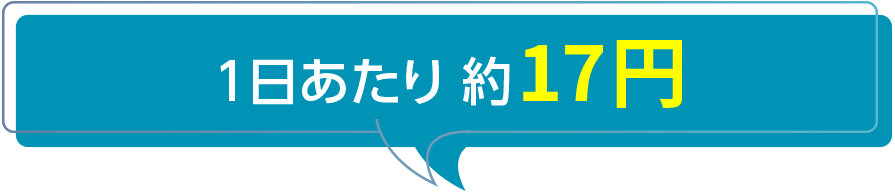 1日あたり 約17円