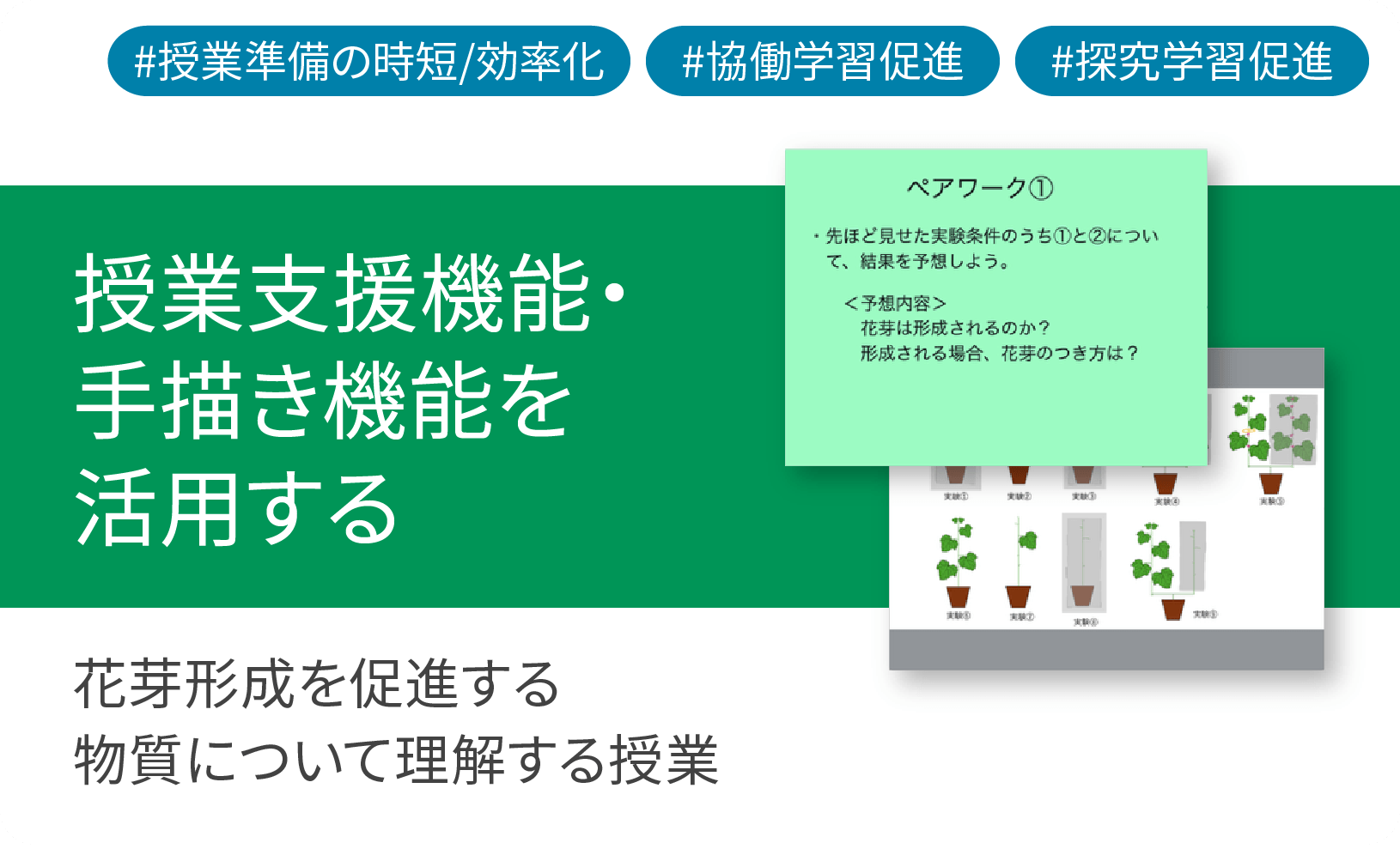 ICT学習アプリClassPad.netを活用し、花芽形成を促進する物質について理解する授業