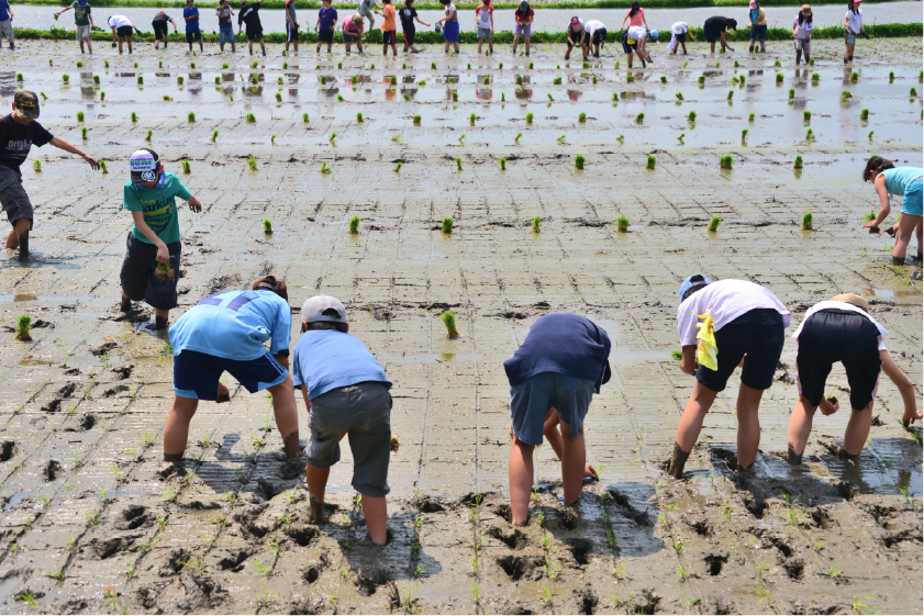【子ども】学校では得られない実体験を通じた主体的な学び