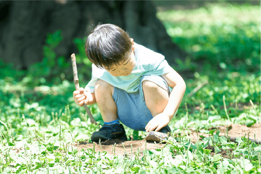 モンテッソーリ教育：子どもの自主性を尊重する科学的アプローチ