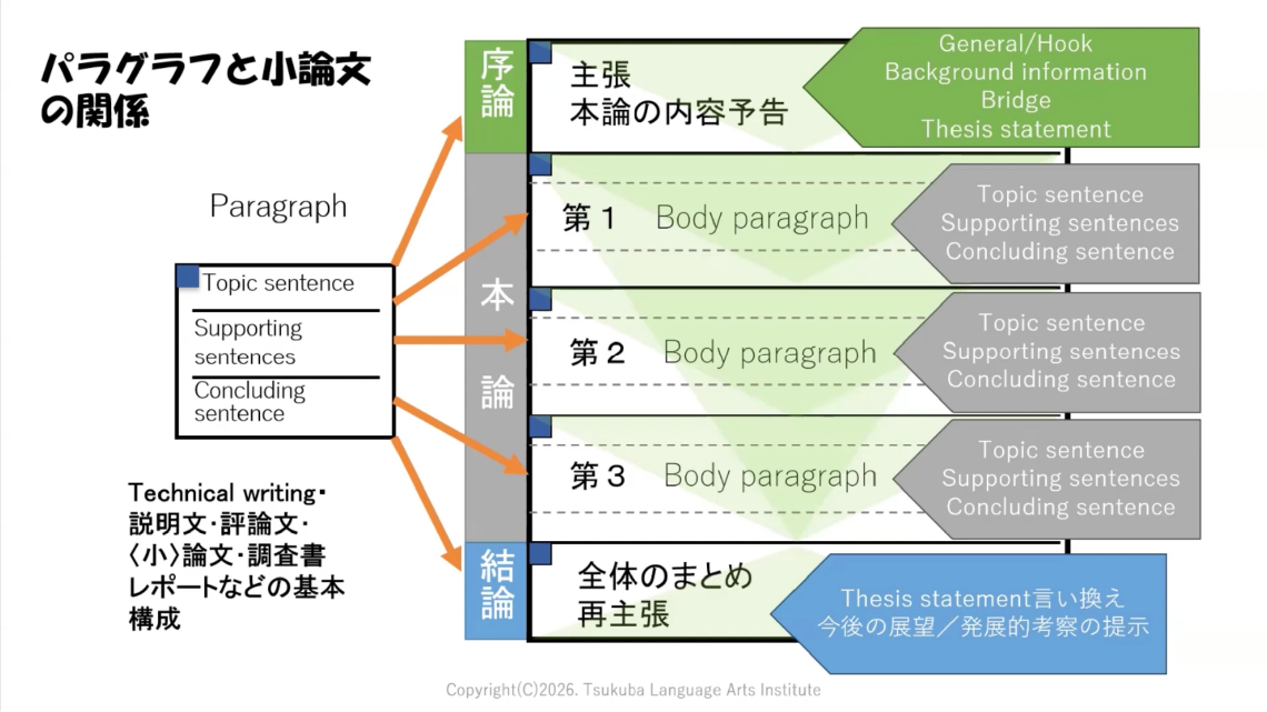 パラグラフと小論文の関係