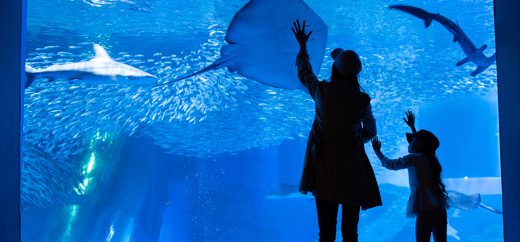 【学習×休暇】ラーケーション制度とは？ 注目の理由やメリット・課題を解説