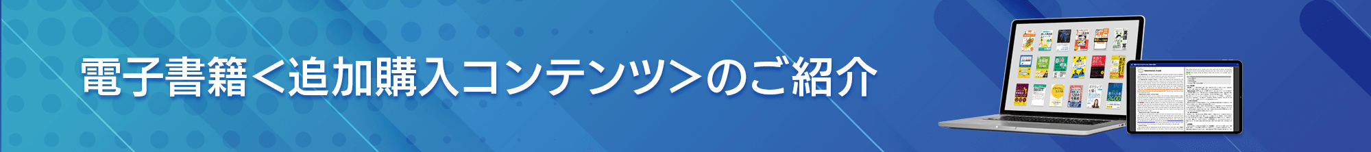 電子書籍 追加購入コンテンツ