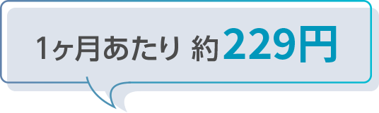 １ヶ月あたり 約229円