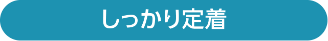 しっかり定着